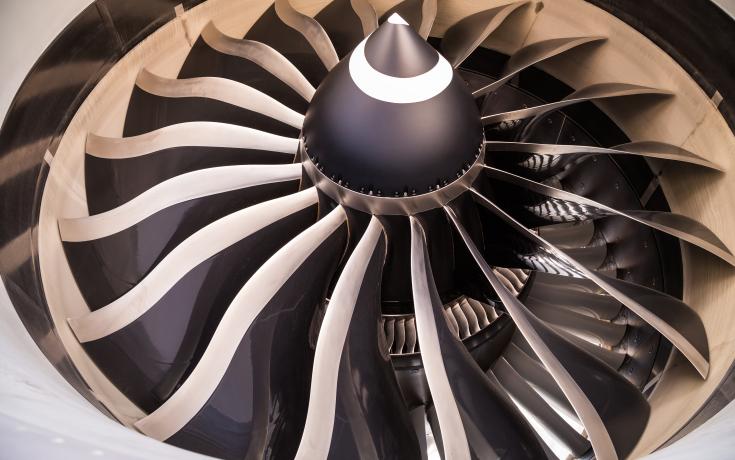 Composite fan blades