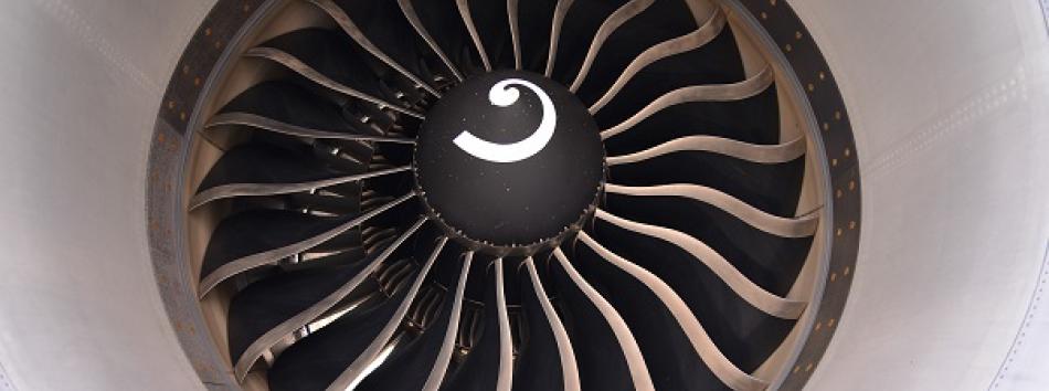 Fan blades of a turbofan engine