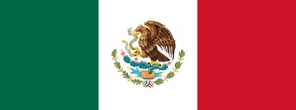Mexican Flag