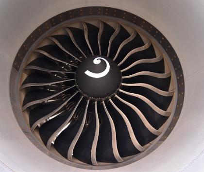 Fan blades of a turbofan engine