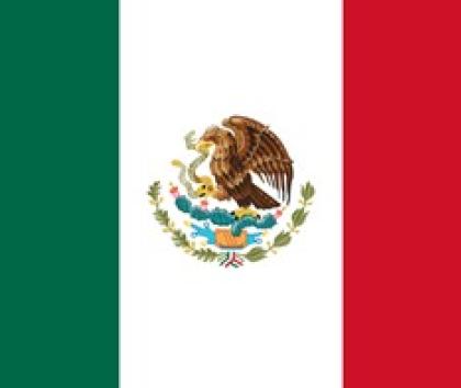 Mexican Flag