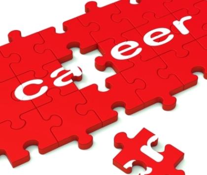 Career jigsaw puzzle image