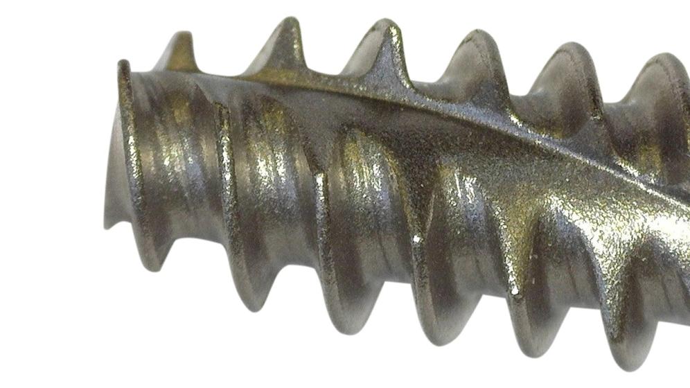 Dental screw before wet blasting