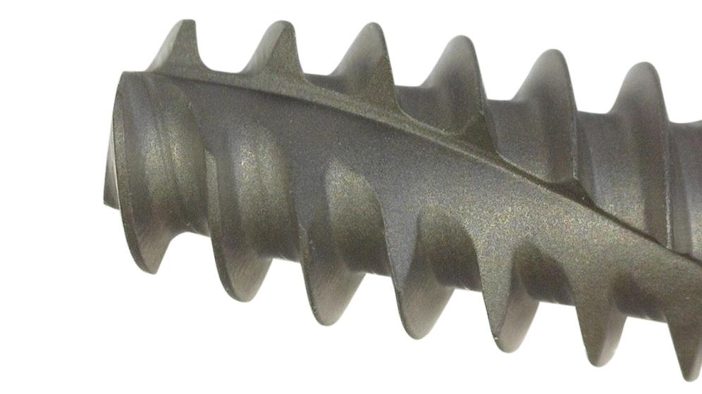 Dental screw after wet blasting