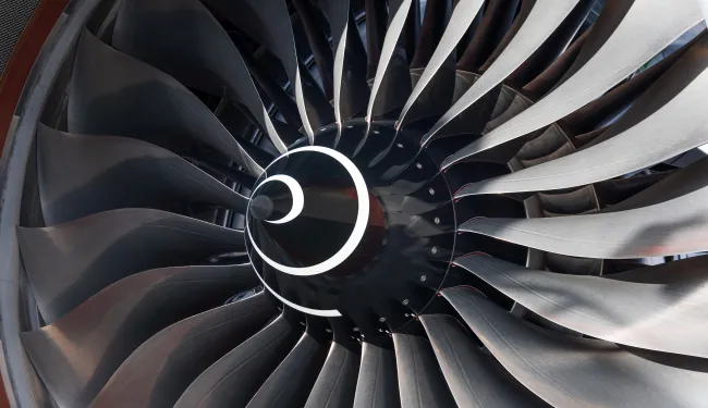 Jet engine fan blades